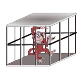 Picture of a monkey in the cage