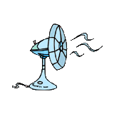 Picture of a fan